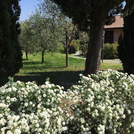 Villa Il Principino Country Resort Vinci Exteriér fotografie
